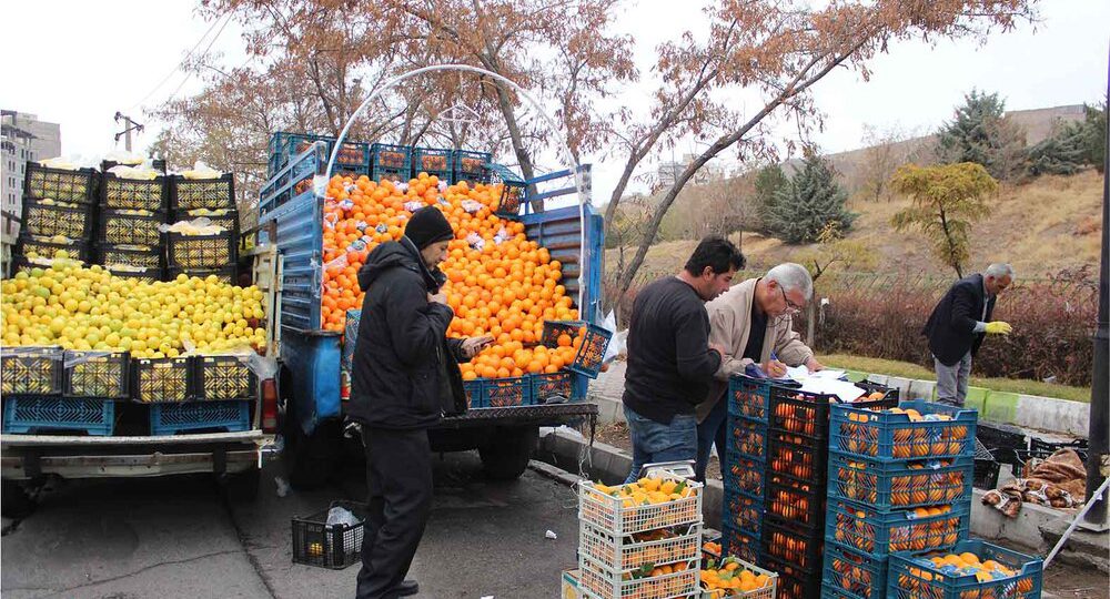 جمع‌آوری ۱۱۴ دستگاه وانت‌بار میوه‌فروش در سطح تبریز