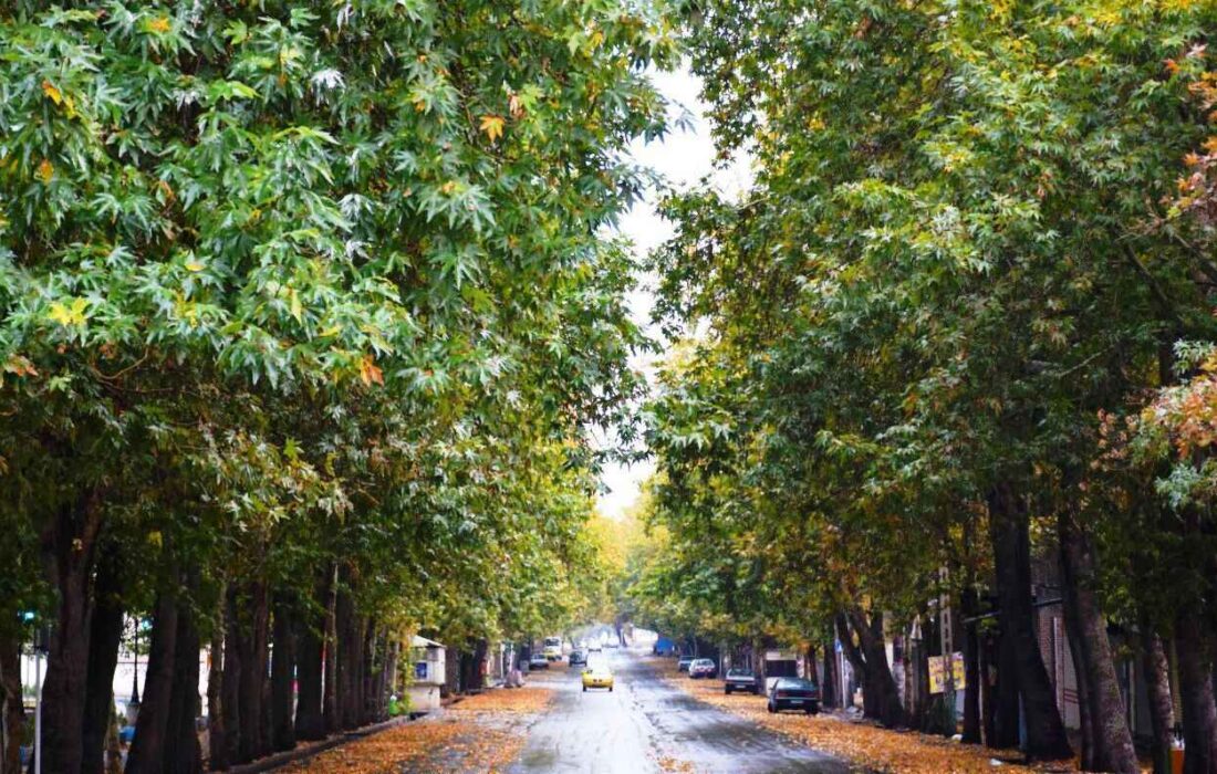 ساماندهی خیابان دانشسرای مراغه طرحی که به بار نشست