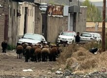 جاده قدیمی کاروان رهاشده درمجاورت برج خلعت پوشان