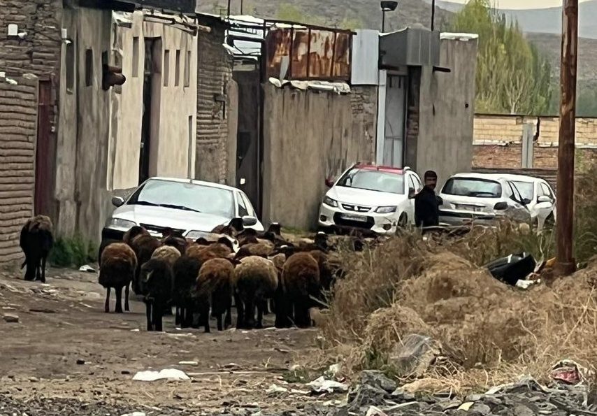 جاده قدیمی کاروان رهاشده درمجاورت برج خلعت پوشان