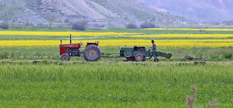 افتتاح ۱۱۷ طرح جهادکشاورزی در آذربایجان شرقی به یاد جهادسازندگی