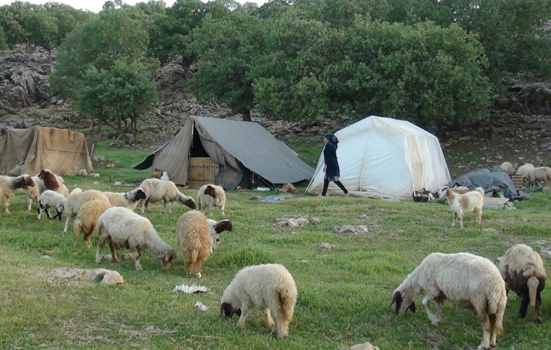 کم‌آبی، مشکل جدید عشایر در ییلاق‌های آذربایجان‌غربی