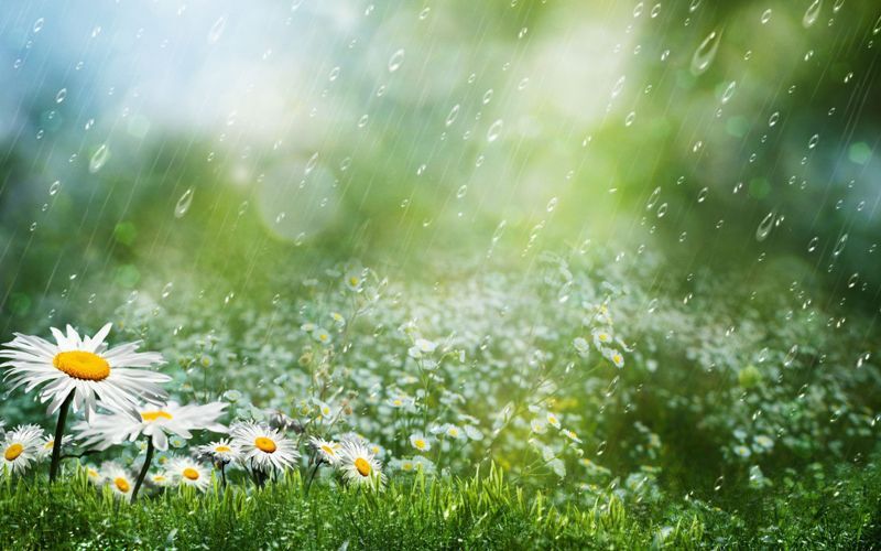 بارش‌ها در آذربایجان‌شرقی شدت می‌گیرد