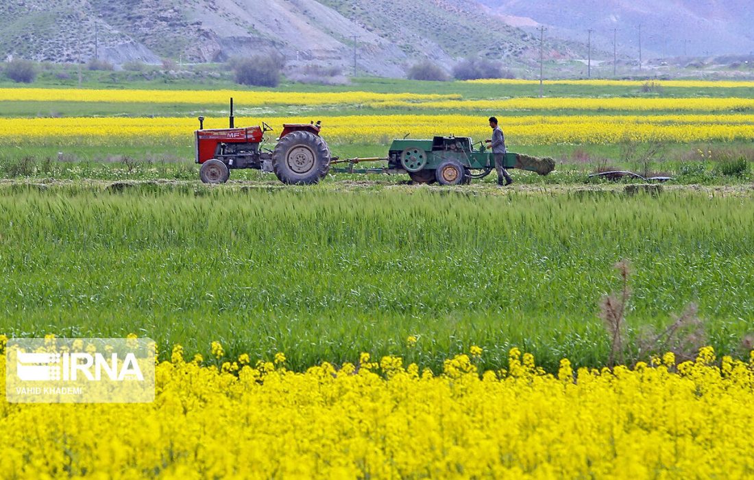 شیرینی تولیدات کشاورزی آذربایجان شرقی به کام مردم