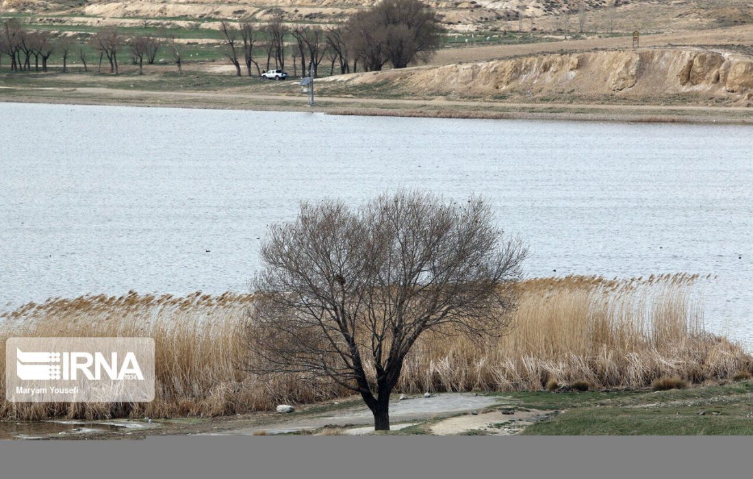 آغاز آبگیری تالاب بین المللی قوری گول در بستان آباد