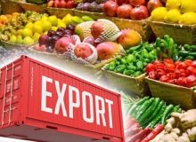 افزایش ۳۸ درصدی ارزش صادرات بخش کشاورزی در آذربایجان شرقی