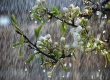 عصر جمعه رگبار باران آذربایجان‌شرقی را فرا می‌گیرد