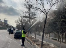 استمرار اجرای سمپاشی بهاره درختان در تبریز با هدف کنترل و مبارزه با آفات گیاهی