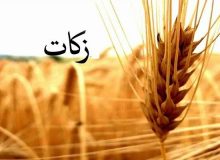 جمع آوری ۱۹۲ میلیارد تومان زکات در آذربایجان شرقی