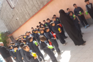 قلک‌هایی که هنوز نفس می‌کشند!