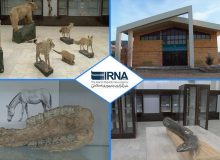 انعقاد قرارداد ۴۲۰ میلیارد ریالی برای تکمیل مرکز تحقیقات دیرینه‌شناسی کشور