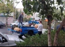 جمع‌آوری ۱۶۴ خودرو و طبق میوه فروش سد معبری ازسطح منطقه ۴