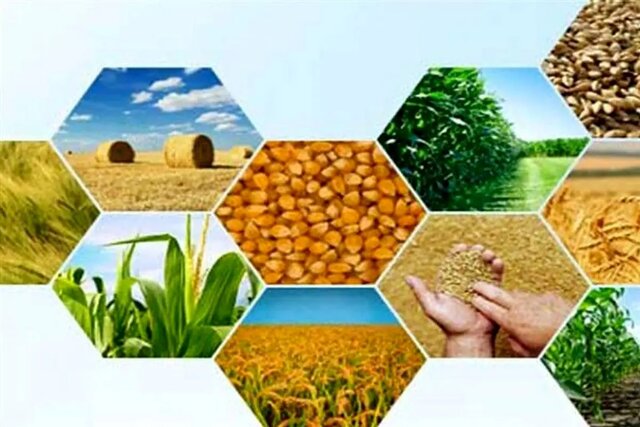 آخرین وضعیت تولیدات کشاورزی آذربایجانشرقی در پی خشکسالی و کاهش بارندگی