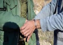 دستگیری شکارچیان غیرمجاز کبک در اراضی روستای دایان خدا‌آفرین