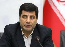 معاون وزیر کشاورزی: ثبات در بازار نهاده های دامی نیازمند رویکردی برنامه محور است