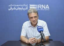 جولان سگ‌های ولگرد در تبریز؛ خلأ مسئولیت قانونی و هزینه‌ای که جامعه می‌پردازد
