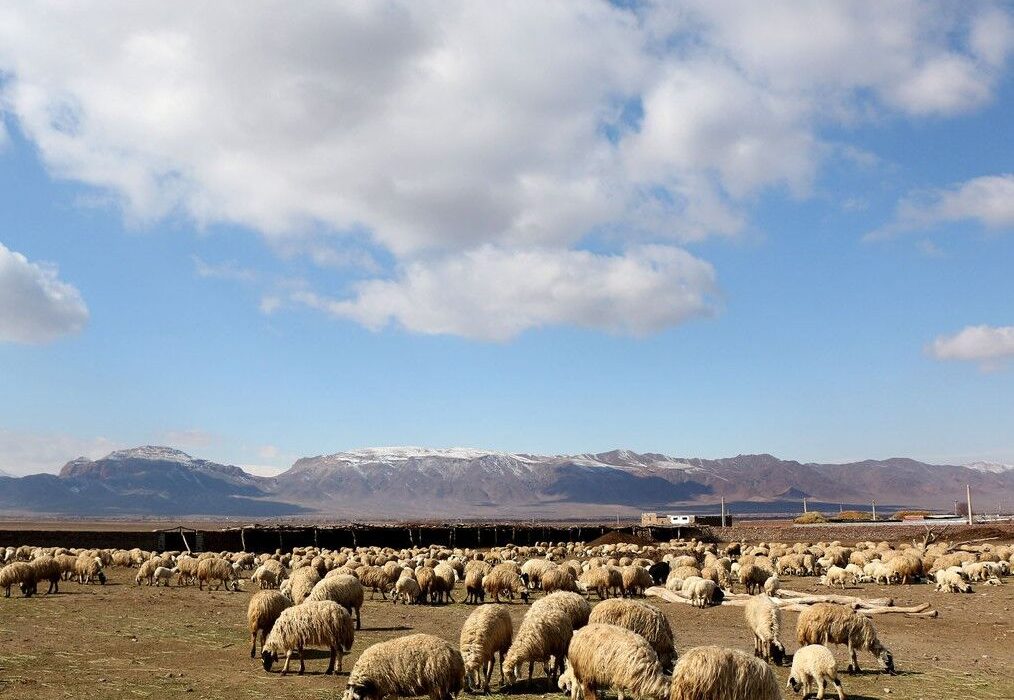 دشت یکانات مرند؛ از تنش آبی مزمن تا الگوی مدیریت پایدار آب