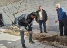 استمرار اجرای پویش” هر خانه یک درخت” با کاشت نهال در منازل شهروندان