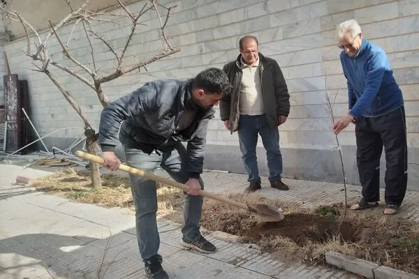 استمرار اجرای پویش” هر خانه یک درخت” با کاشت نهال در منازل شهروندان