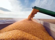 زنجیره تأمین غلات لحظه‌ای متوقف نمی‌شود