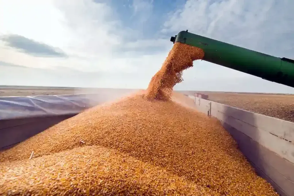 زنجیره تأمین غلات لحظهای متوقف نمیشود
