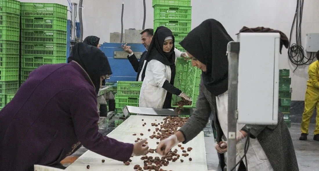 جهش صنایع تبدیلی آذربایجان شرقی با سرمایهگذاری ۱۸۳ هزار میلیارد ریالی