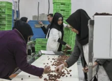 جهش صنایع تبدیلی آذربایجان شرقی با سرمایه‌گذاری ۱۸۳ هزار میلیارد ریالی