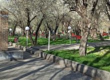 مراغه در مسیر توسعه فضای سبز شهری