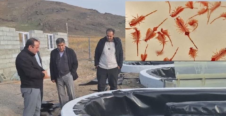 رتبه سوم آذربایجان شرقی در تولید آرتمیا