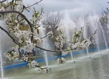 آمادگی پارکها و بوستان های شهرداری منطقه ۸ برای میزبانی از شهروندان در روز طبیعت