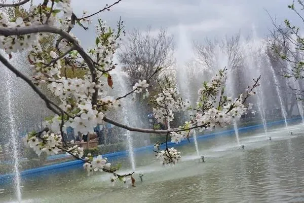آمادگی پارکها و بوستان های شهرداری منطقه ۸ برای میزبانی از شهروندان در روز طبیعت