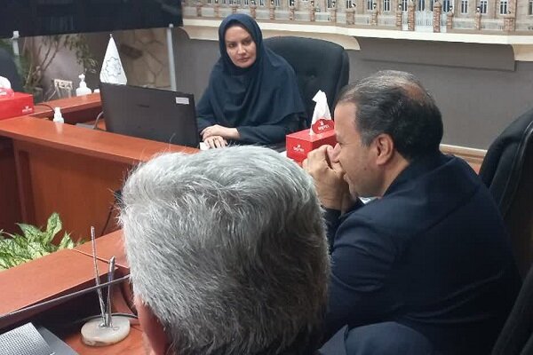 شبکه برق در محورهای گردشگری شهرداری منطقه ۸ زیرزمینی می شوند