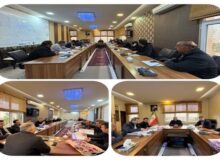 بررسی طرح جامع آب خام فضای سبز کلانشهر تبریز