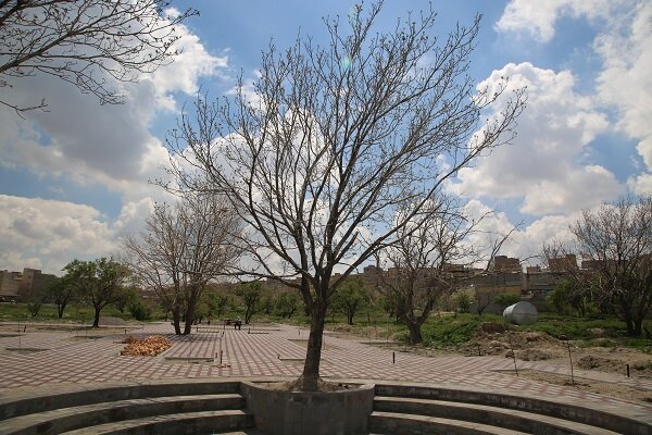اجرای طرح حفاظت از درختان کهنسال جنوب غرب تبریز