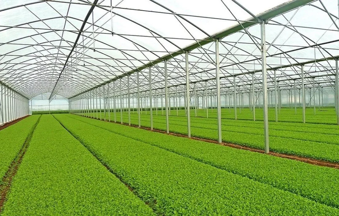 سطح گلخانههای آذربایجانشرقی به ۲ هزار هکتار افزایش مییابد