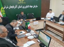 شتاب تازه در کشاورزی آذربایجان شرقی؛ راه اندازی ۱۰۶ مزرعه الگویی برای محصولات راهبردی