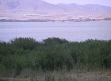 افزایش ۲۷ سانتی متری تراز آبی تالاب قوری گل