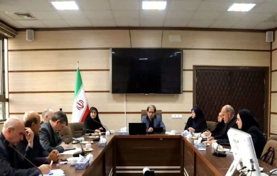 همافزایی دستگاههای اجرایی برای حمایت از درمان ناباروری ضروری است