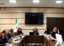 هم‌افزایی دستگاه‌های اجرایی برای حمایت از درمان ناباروری ضروری است
