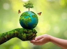 محیط زیست شهری، سرمایه‌ای برای امروز و فردا