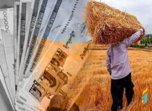 مدیر تعاون روستایی آذربایجان‌شرقی: مطالبات کشاورزان استان فردا تسویه می‌شود
