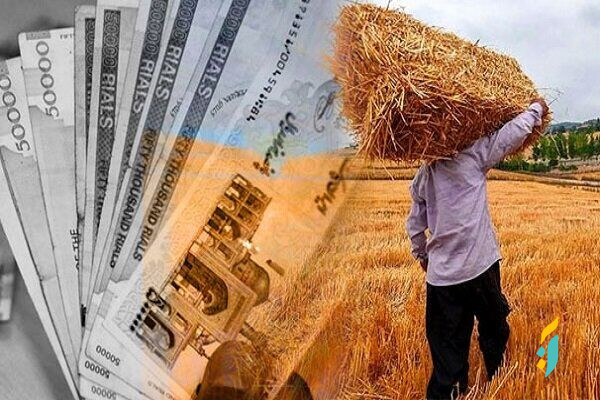 مدیر تعاون روستایی آذربایجان‌شرقی: مطالبات کشاورزان استان فردا تسویه می‌شود