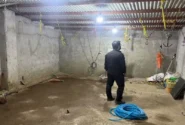کشف ۲ محل کشتار غیرمجاز دام در تبریز