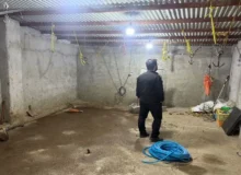 کشف ۲ محل کشتار غیرمجاز دام در تبریز