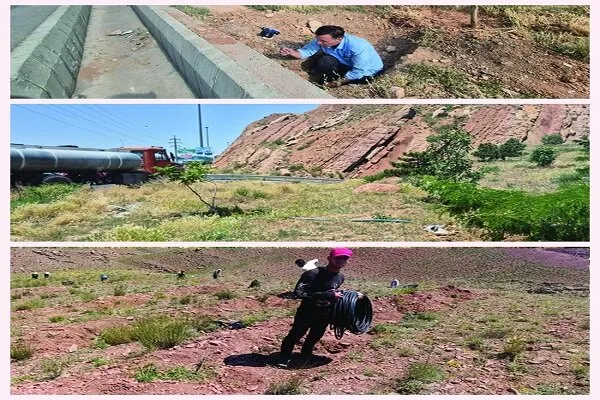 سیستم آبیاری پایدار در فضای سبز تفرجگاه عینالی و پارک ربع رشیدی راه اندازی شد