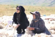 تأکید مدیرکل امور زنان و خانواده استاندار بر توانمندسازی اقتصادی زنان عشایر آذربایجانشرقی