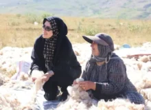تأکید مدیرکل امور زنان و خانواده استاندار بر توانمندسازی اقتصادی زنان عشایر آذربایجانشرقی