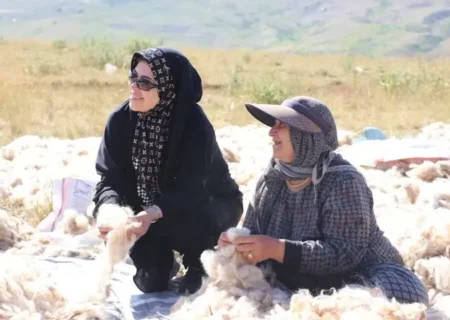 تأکید مدیرکل امور زنان و خانواده استاندار بر توانمندسازی اقتصادی زنان عشایر آذربایجان‌شرقی