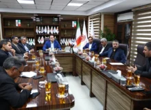 تأکید بر تدوین بسته سیاستی ادغام، توسعه یا انحلال شرکتها با رویکرد سودآوری و تکمیل زنجیره ارزش