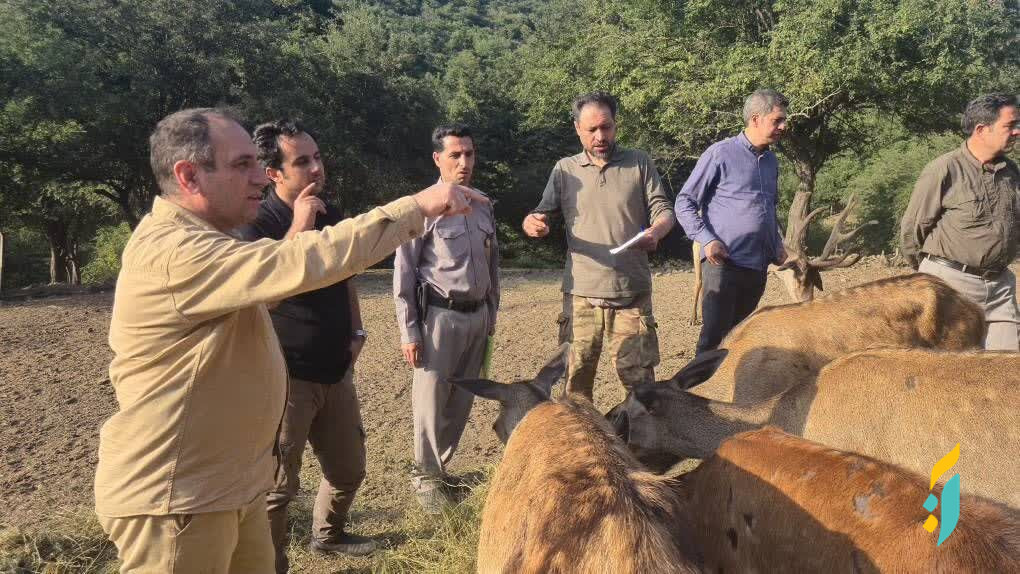 مارال در آستانه بازگشت به ارسباران